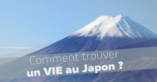 comment trouver un v.i.e