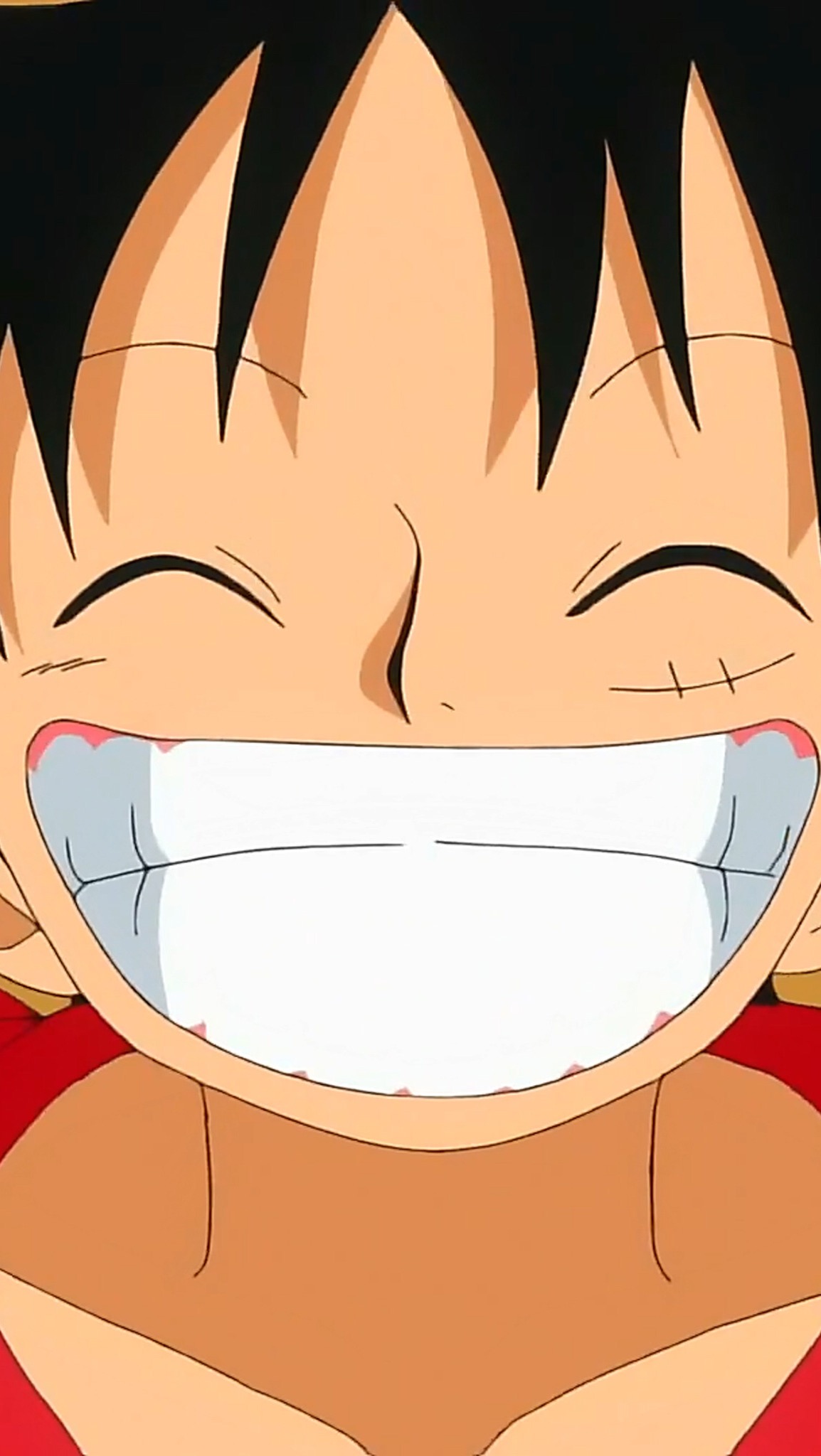 ONE  Piece sourir